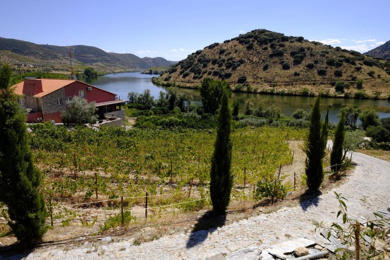 Olhares Do Douro Pensionat Torre De Moncorvo Exteriör bild