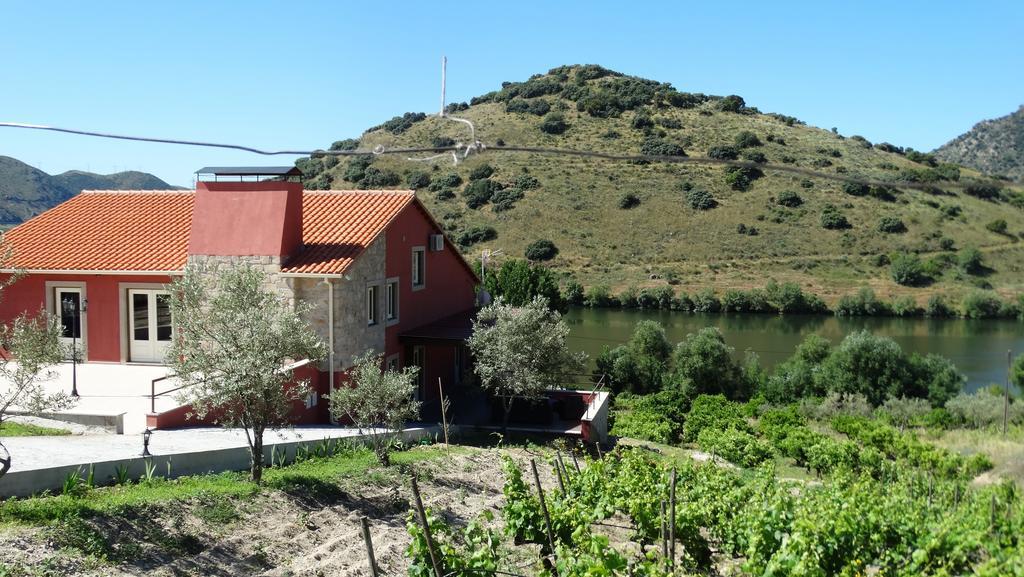 Olhares Do Douro Pensionat Torre De Moncorvo Exteriör bild
