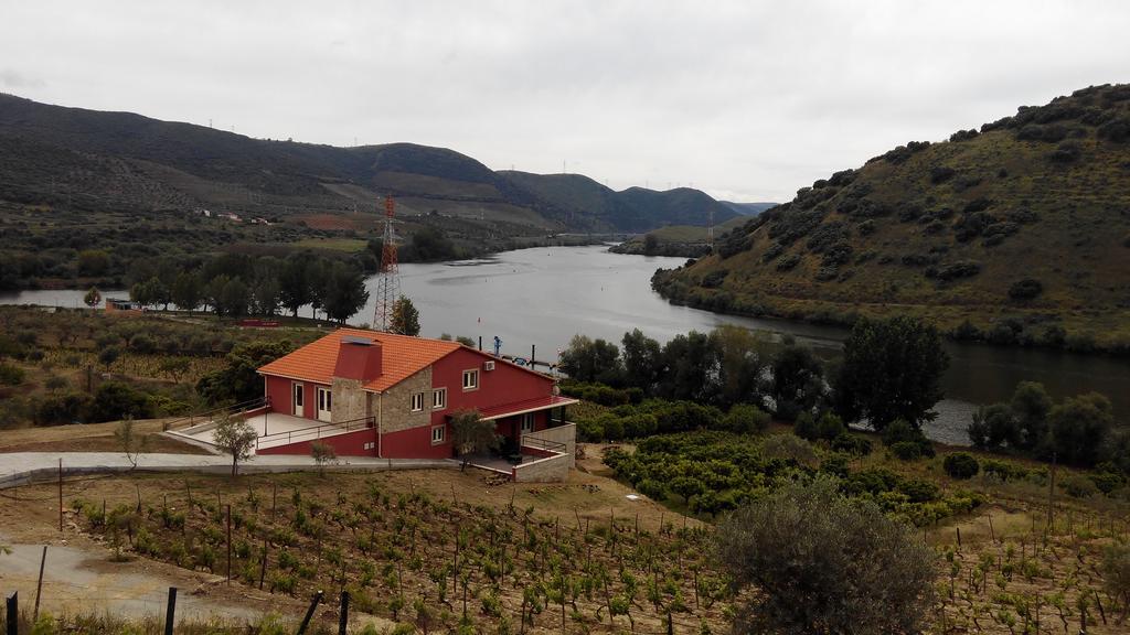 Olhares Do Douro Pensionat Torre De Moncorvo Exteriör bild